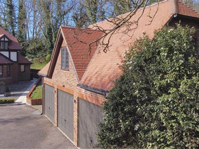 Picture 30